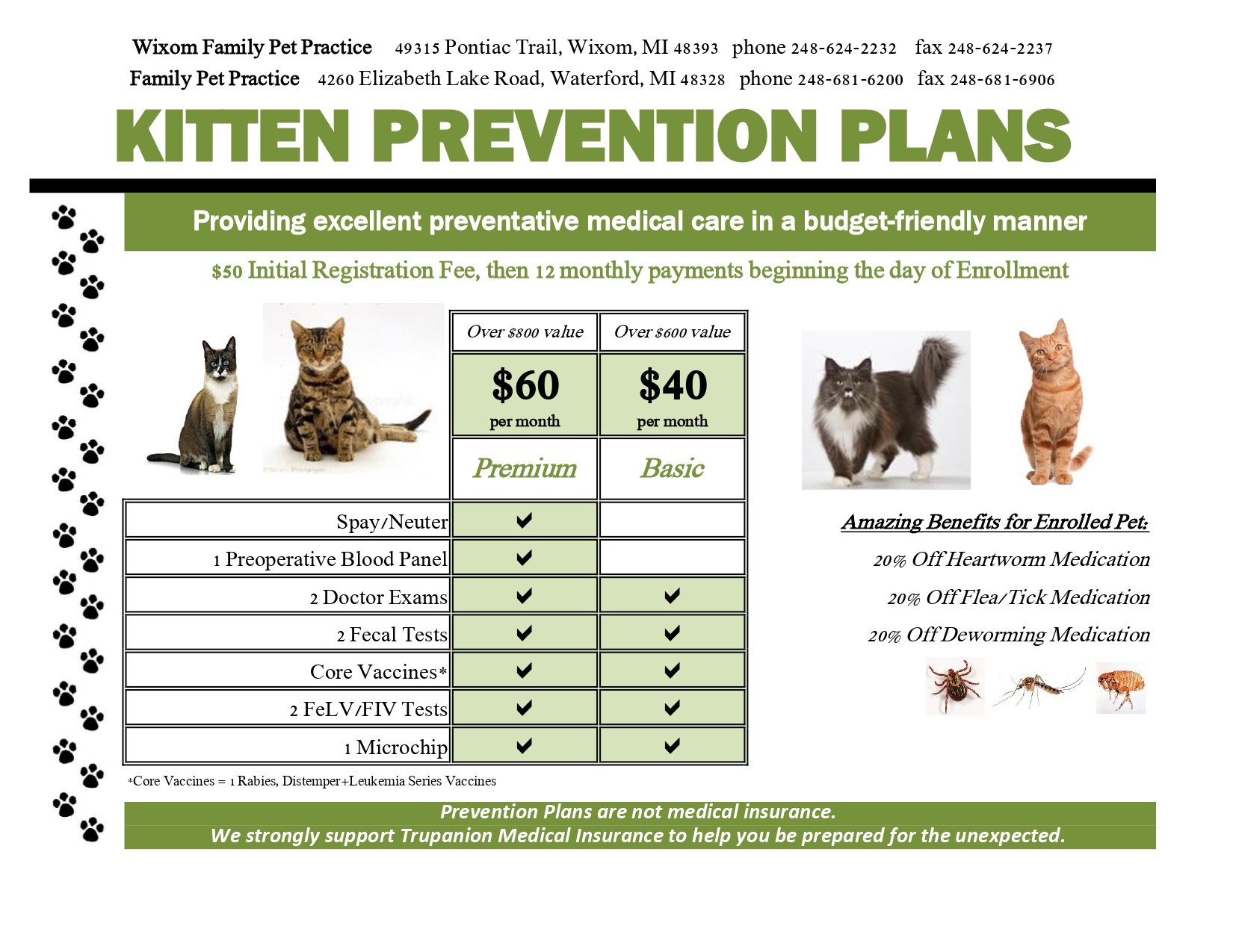 Kitten Prevention Plan