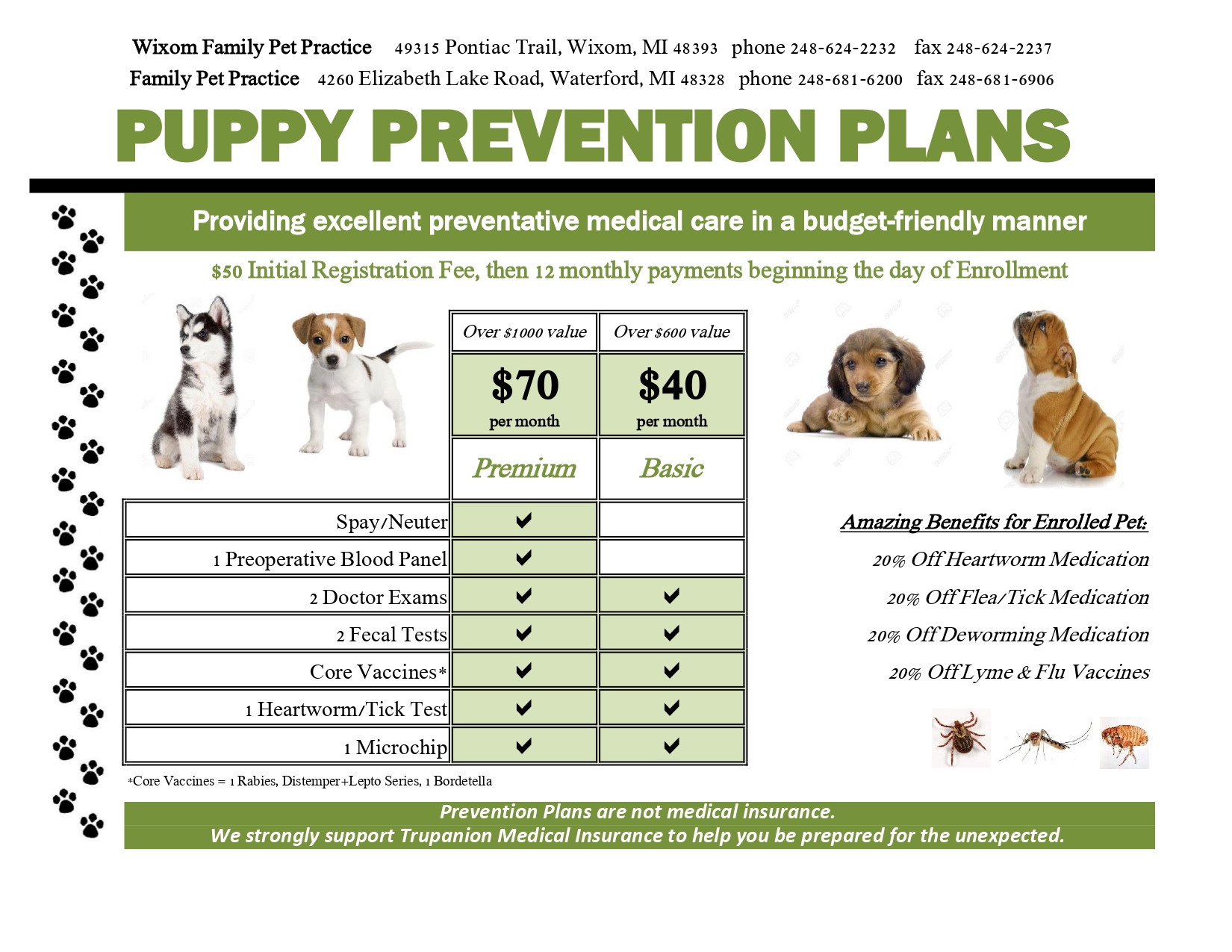 Puppy Prevention Plans